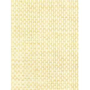   PJ 843 Japanese Paper Weave   Beige Wallpaper