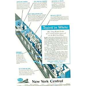  New York Central Railroad Trains in White, How Army Hospital Trains 