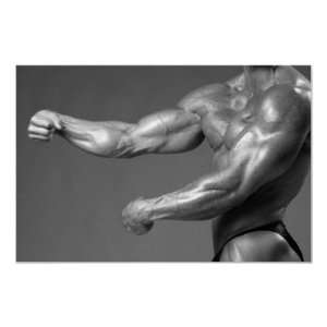  Classic Bodybuilding Gym Wall Arm Poster