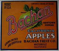 BACHAN Apple Crate Label Watsonville CA  
