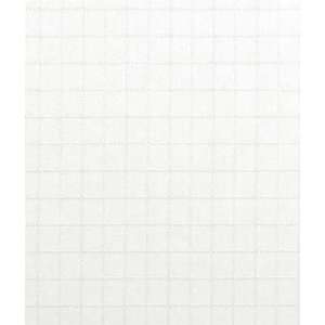  White 70 Denier FR/UV Nylon Ripstop Fabric Arts, Crafts 