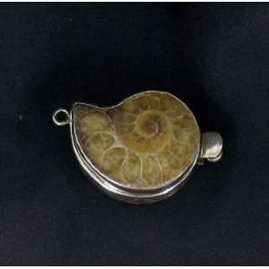 AMMONITE FOSSIL STERLING SILVER CLASP #1 ~ Everything 