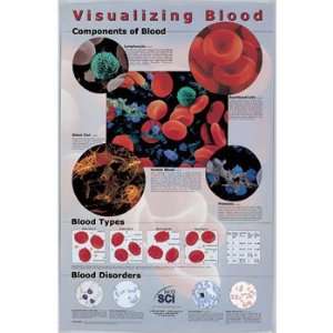 Visualizing Blood Slide and Poster Set  Industrial 