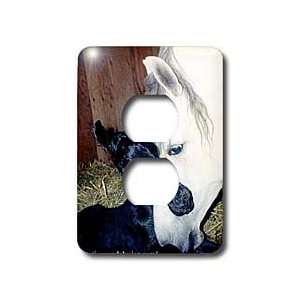 Horse   Andalusian Mare and Foal   Light Switch Covers   2 plug outlet 