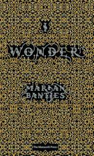   I Wonder by Marian Bantjes, The Monacelli Press 