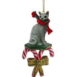  Blue Cornish Rex Candy Cane Christmas Ornament