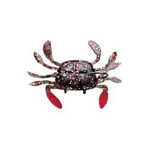  Wildeye Live Swim Crab Rock Crab