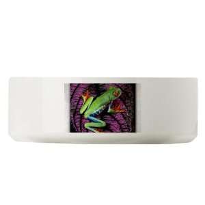  Large Dog Cat Food Water Bowl Red Eyed Tree Frog on Purple 