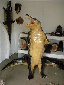 NEW XXL HUGE Standing Alligator Gator Replica Full MOUNT   Fierce 