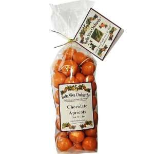 Pastel Chocolate Apricots, 8oz  Grocery & Gourmet Food