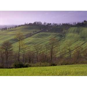  Landscape of the Crete Senesi Area, Southeast of Siena, Near Arbia 