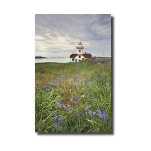  Patos Island Lighthouse I Giclee Print