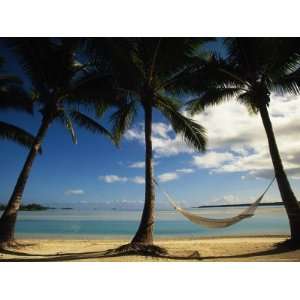  Palms and Hammock, Aitutaki, Cook Islands Photographic 