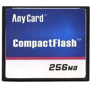  256MB CompactFlash Card Electronics