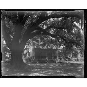 Photo Palo Alto, Donaldsonville, Ascension Parish, Louisiana 1938 