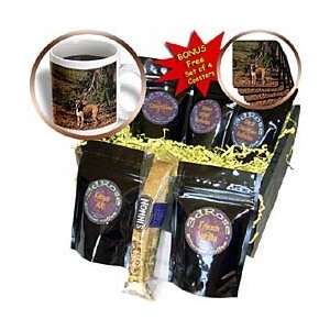 Mirmak Animals   Boxer Asena   Coffee Gift Baskets   Coffee Gift 