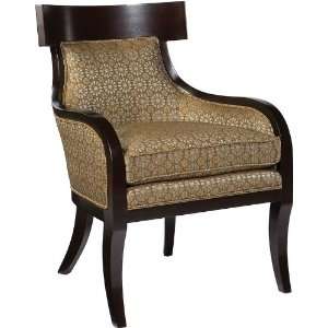   Health Care Senior Living Guest Room Accent Arm Chair