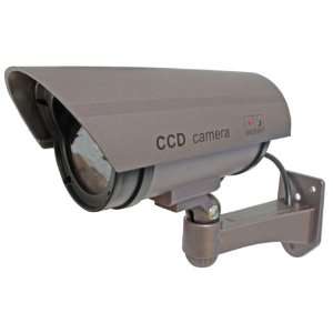   camera with a flashing red LED(light purple)