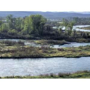Madison and Jefferson Rivers Join to Form the Missouri River, Tobacco 