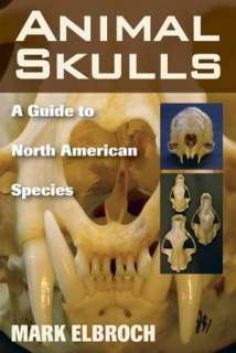   Animal Skulls by Mark Elbroch, Stackpole Books 