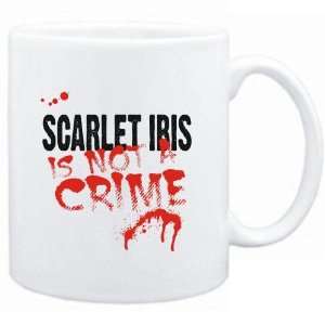   Being a  Scarlet Ibis is not a crime  Animals