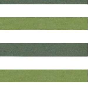  56 Wide Designer Outdor Fabric Toucan Stripe Green By 