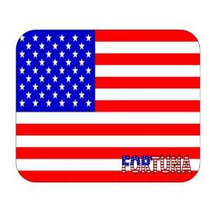  US Flag   Fortuna, California (CA) Mouse Pad Everything 