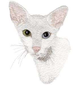 Oriental WHITE Cat WITH BLUE & GREEN EYES   2 EMBROIDERED HAND TOWELS 
