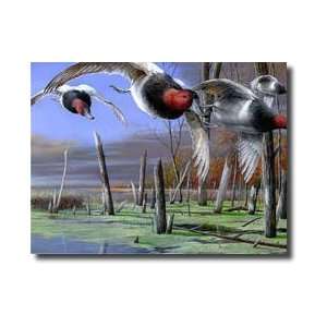  Backwater Cans Giclee Print