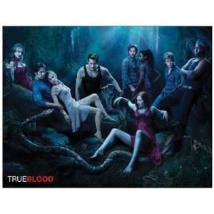    Magnet (Large) TRUE BLOOD   Season 3 Promo 