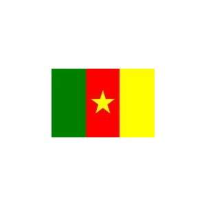  Cameroon Flag, 3 x 5, Outdoor, Nylon