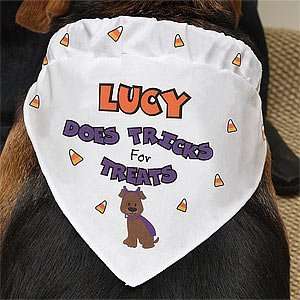   Personalized Halloween Dog Bandana   Tricks for Treats