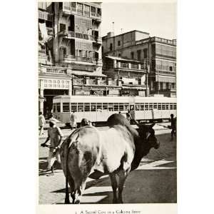  1938 Print Sacred Cow Calcutta Street India Kolkata West 