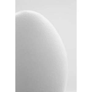  White Egg   Peel and Stick Wall Decal by Wallmonkeys