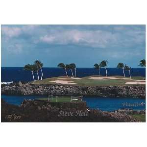    Golf Photo Unframed Mauna Lani (Size12x18)