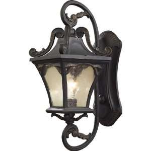  1 Light Outdoor Sconce In Weathered Charcoal And Seeded 