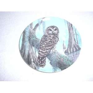  The Barred Owl Plate by Jim Beaudoin 