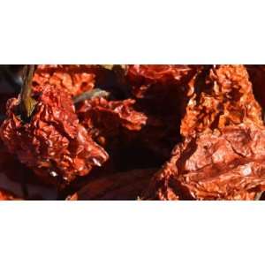  Bhut Jolokia (Ghost) Pods 4 Oz Bag   Very Hot Everything 
