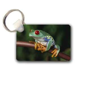  Tree Frog Keychain Key Chain Great Unique Gift Idea 