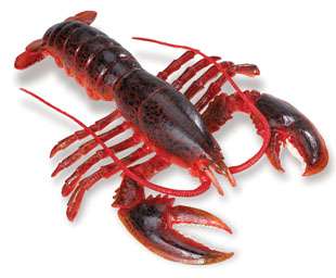 LOBSTER~9.5L Very Realistic FREE SHIPw/$25+Safari 095866281601  