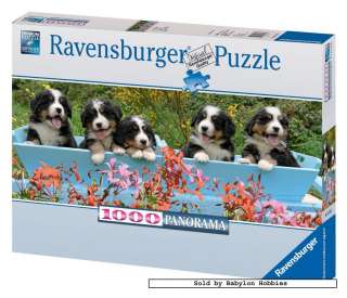   jigsaw puzzle 1000 pcs Panorama   Berner Sennen Dogs 151165  