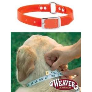  Weaver Blaze Orange Carefree Dog Collar 3/4 inch 19 Pet 