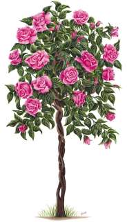 Tatouage Pink Rose Tree Dry Rub Transfer Mural  