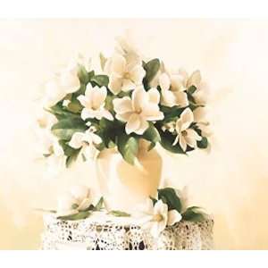  Magnolia On Lace Poster Print