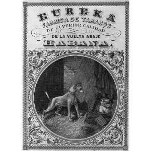  Eureka pointer dog, cat, Tobacco Package Label, Habana 