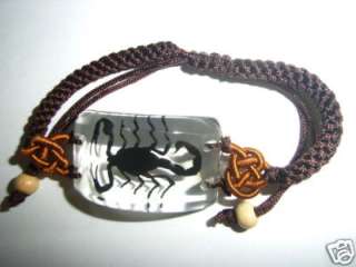 Insect Bracelet (Clear Lucite)  Black Scorpion Specimen  