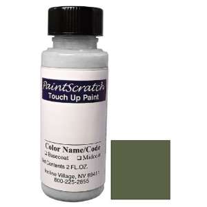 Oz. Bottle of Alloy Metallic (cladding) Touch Up Paint for 2011 Ford 