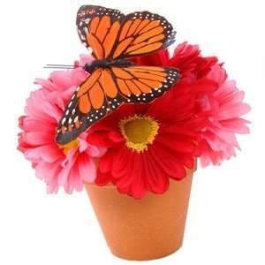  Butterfly Flower Type home fragrance oil 15ml Beauty