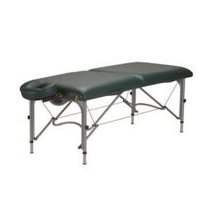  Earthlite Luna Massage Table Teal   Model 560390T Health 