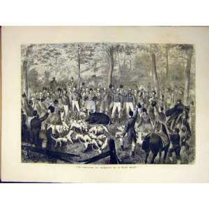   German Emperor Boar Hunt Dog Hound Pig Old Print 1871